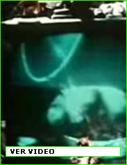 imagen7