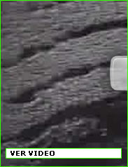 imagen8
