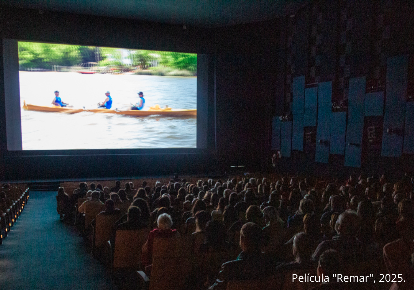 Seminario abierto de posgrado |  Distribución, Comercialización y Consumo de Cine Documental