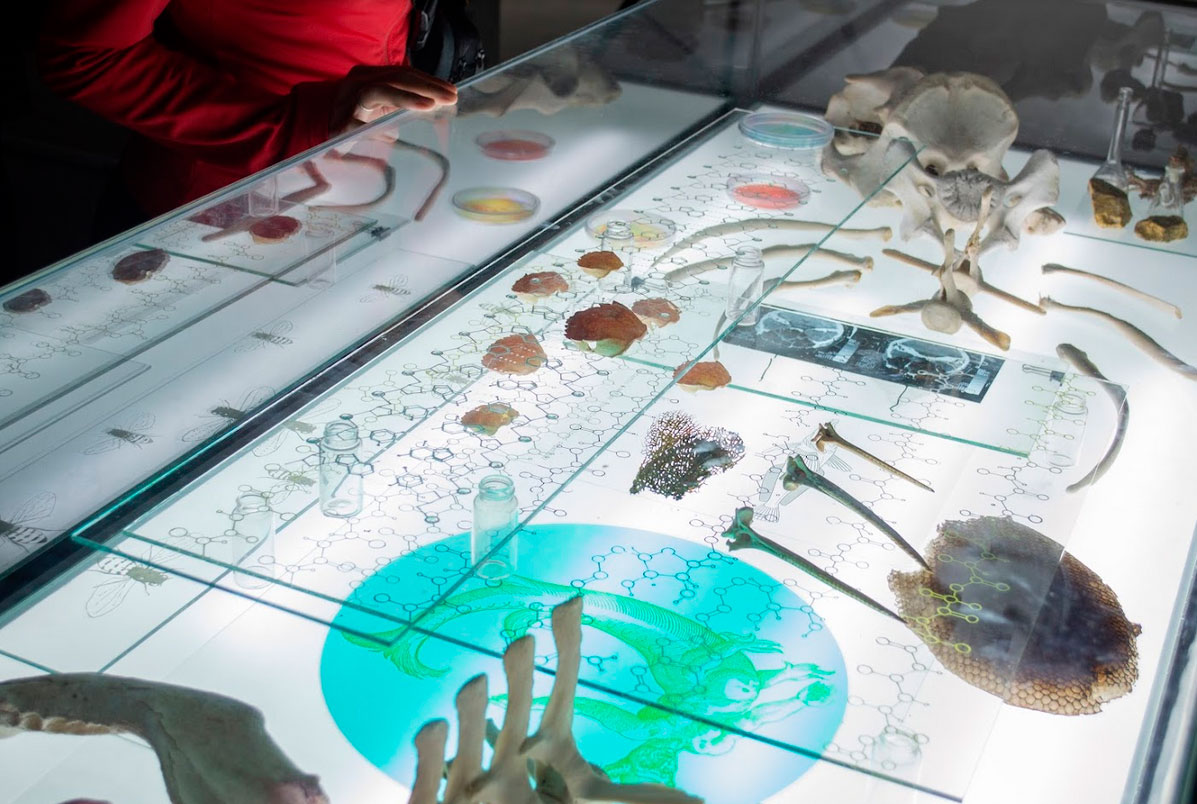 Verano 2023 en MUNTREF Sede Tecnópolis