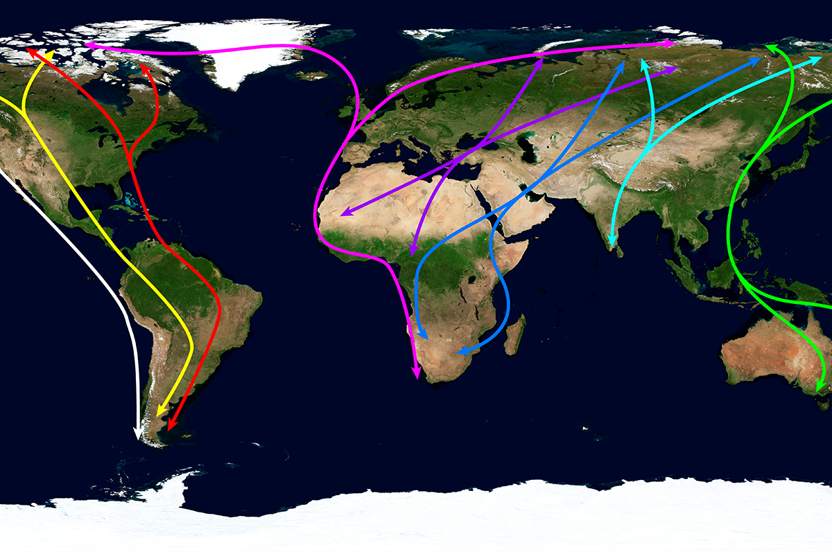 Situación Actual y Perspectivas de las Políticas Migratorias en América y Europa