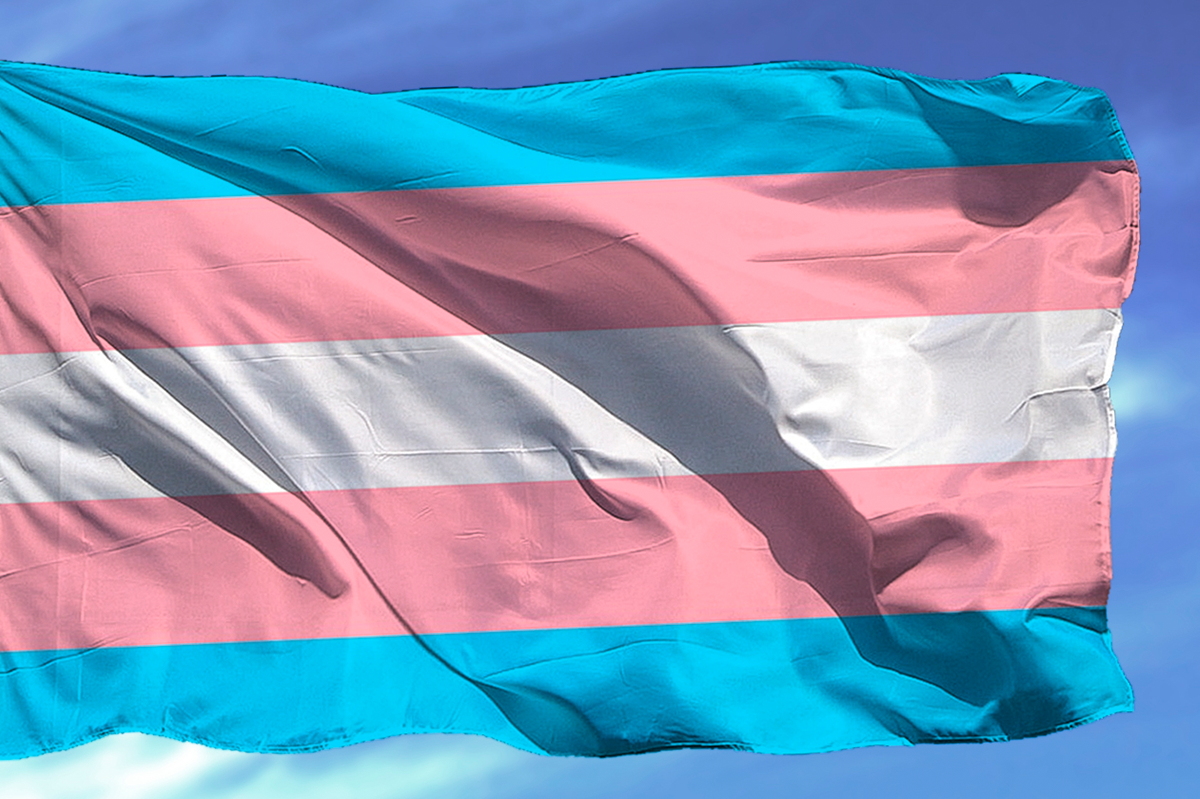 Ciudadanía ingrata: translatinas, participación y pertenencia en la ausencia del reconocimiento Ciudadanía ingrata: translatinas, participación y pertenencia en la ausencia del reconocimiento