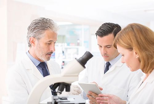 Investigación en Salud y Seguridad Social