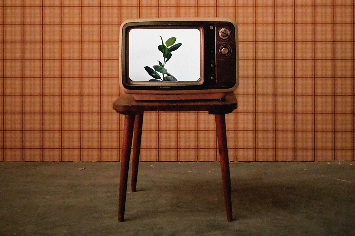 Un televisor viejo, de Cecilia Meijide, en el Xirgu Un televisor viejo, de Cecilia Meijide, en el Xirgu